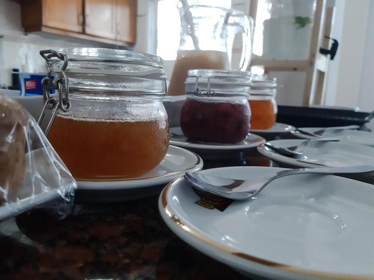 Adamas Bed & Breakfast Ponta Delgada 외부 사진